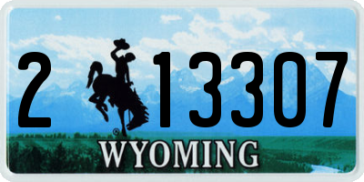 WY license plate 213307