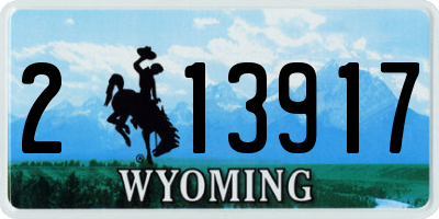 WY license plate 213917