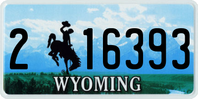 WY license plate 216393