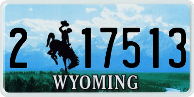 WY license plate 217513