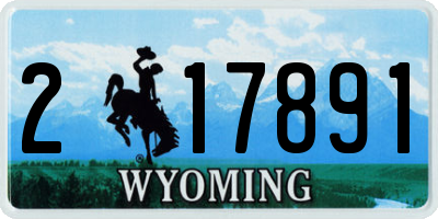 WY license plate 217891