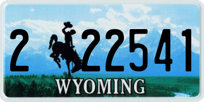 WY license plate 222541