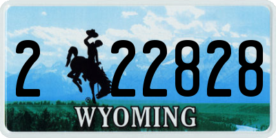 WY license plate 222828