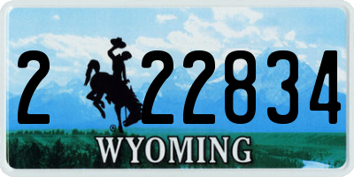 WY license plate 222834