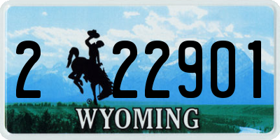 WY license plate 222901