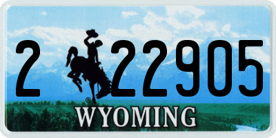 WY license plate 222905