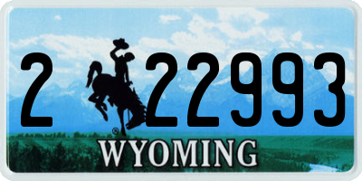 WY license plate 222993
