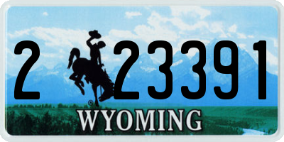 WY license plate 223391