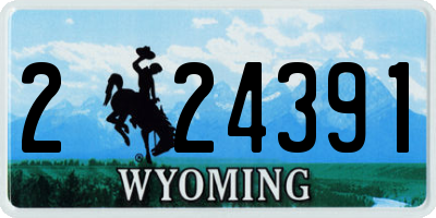 WY license plate 224391