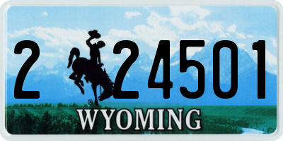 WY license plate 224501