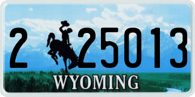WY license plate 225013