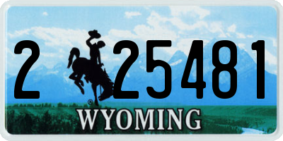 WY license plate 225481