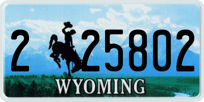 WY license plate 225802