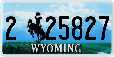 WY license plate 225827
