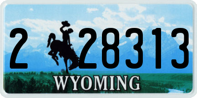 WY license plate 228313