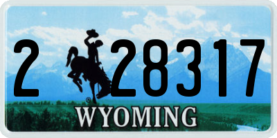 WY license plate 228317