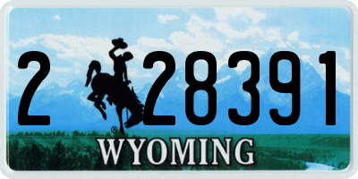 WY license plate 228391