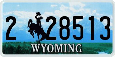 WY license plate 228513