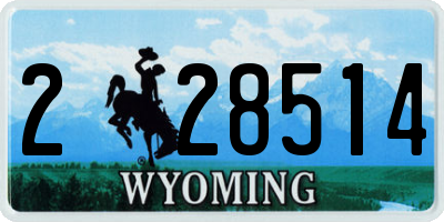 WY license plate 228514