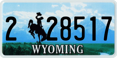 WY license plate 228517