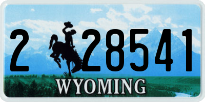 WY license plate 228541