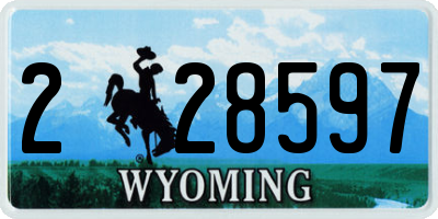 WY license plate 228597