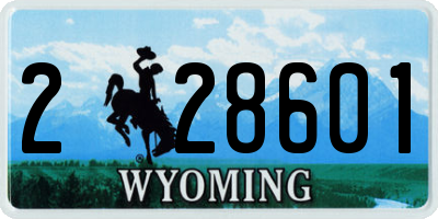 WY license plate 228601