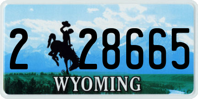 WY license plate 228665