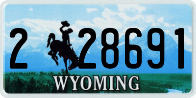 WY license plate 228691