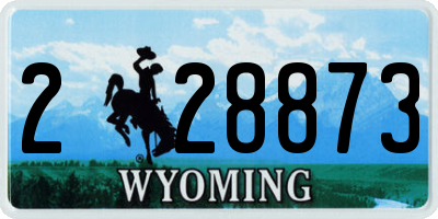 WY license plate 228873