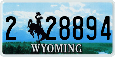 WY license plate 228894