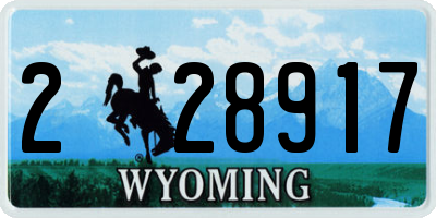 WY license plate 228917