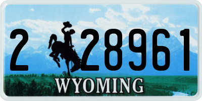 WY license plate 228961