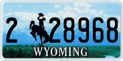 WY license plate 228968
