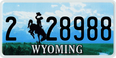 WY license plate 228988