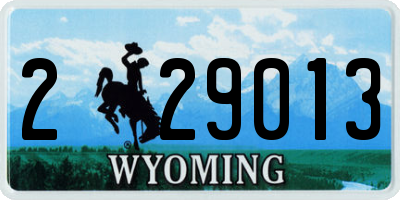 WY license plate 229013