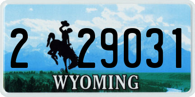 WY license plate 229031
