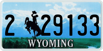 WY license plate 229133