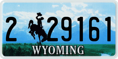 WY license plate 229161