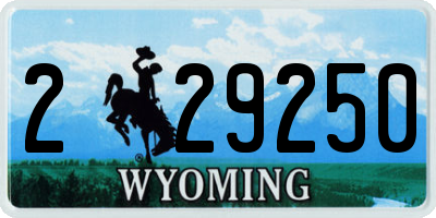 WY license plate 229250