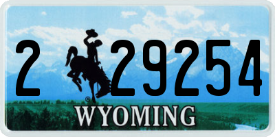 WY license plate 229254