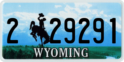 WY license plate 229291