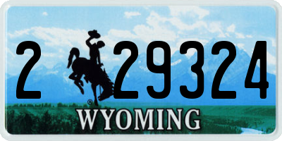 WY license plate 229324