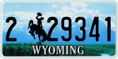 WY license plate 229341