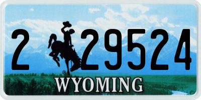 WY license plate 229524