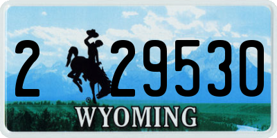 WY license plate 229530