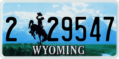 WY license plate 229547