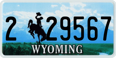 WY license plate 229567