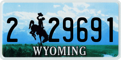 WY license plate 229691
