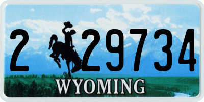 WY license plate 229734